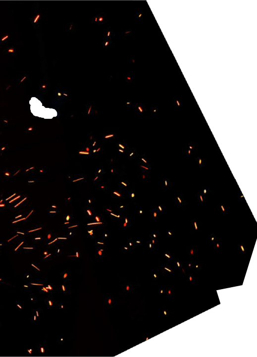 sparks
